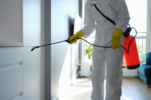 Best Residential Mold Remediation in Califon, NJ
